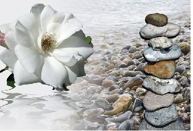 Smutek Květina Paměť Mapa S Pozdravem, Public Domain CCO, www.pixabay.com
